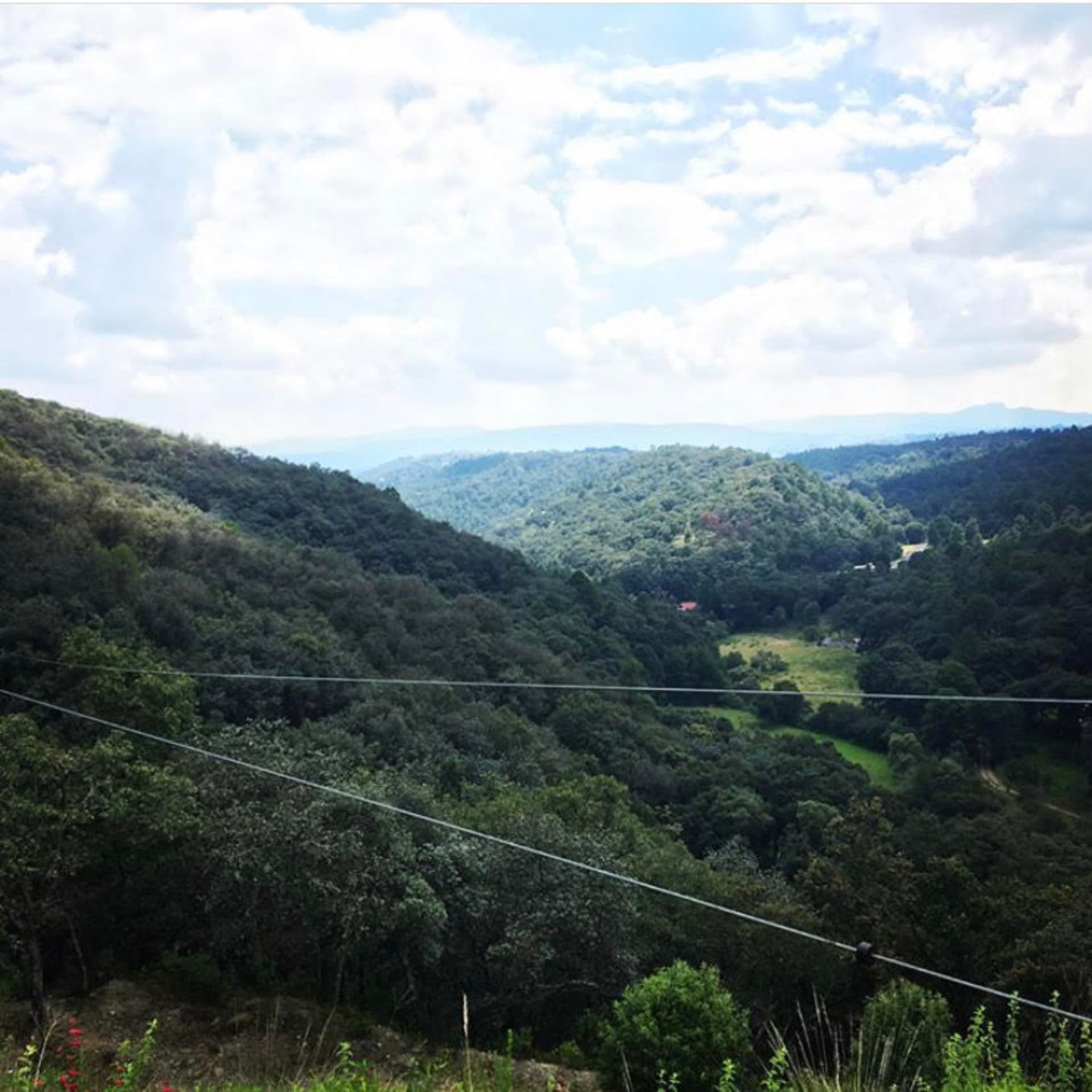 Naturaleza