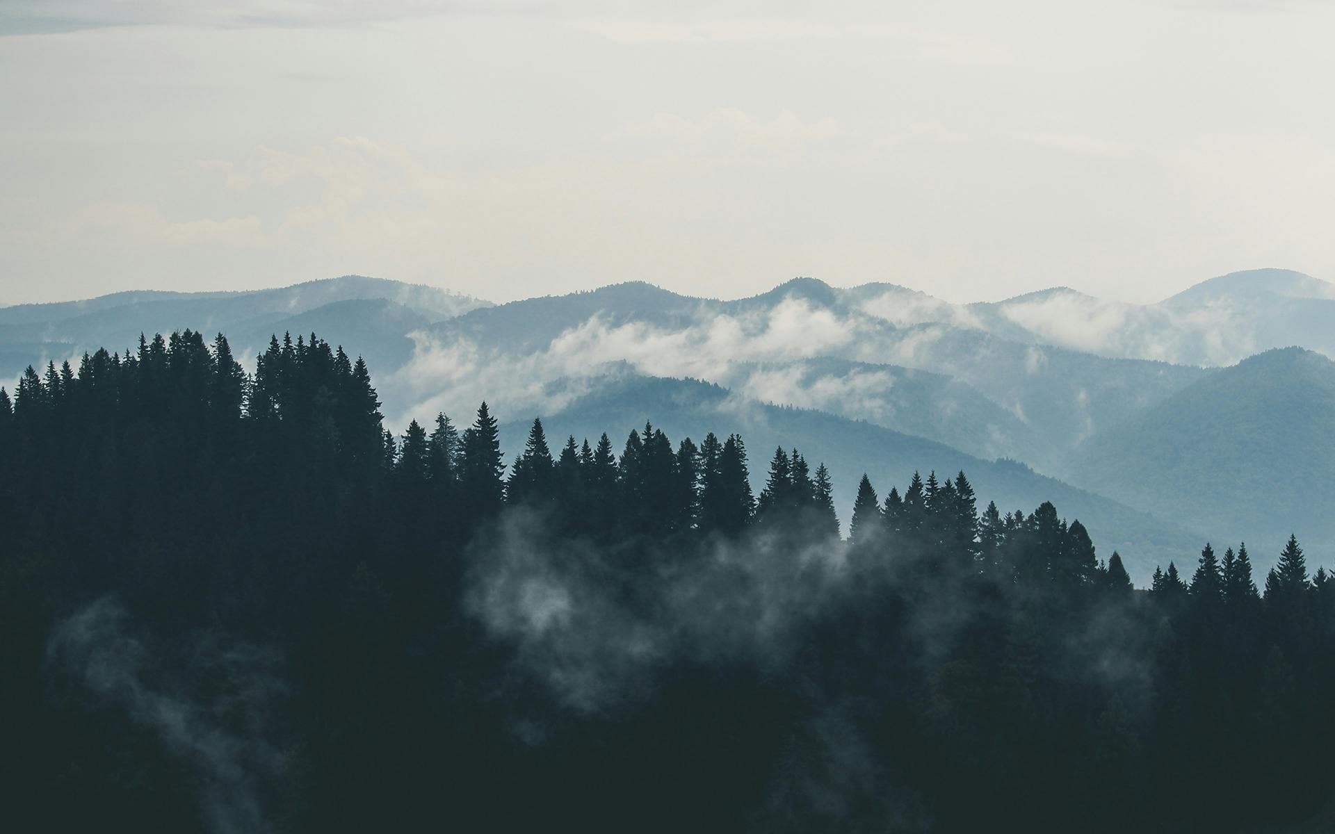 Vistas a la Naturaleza
