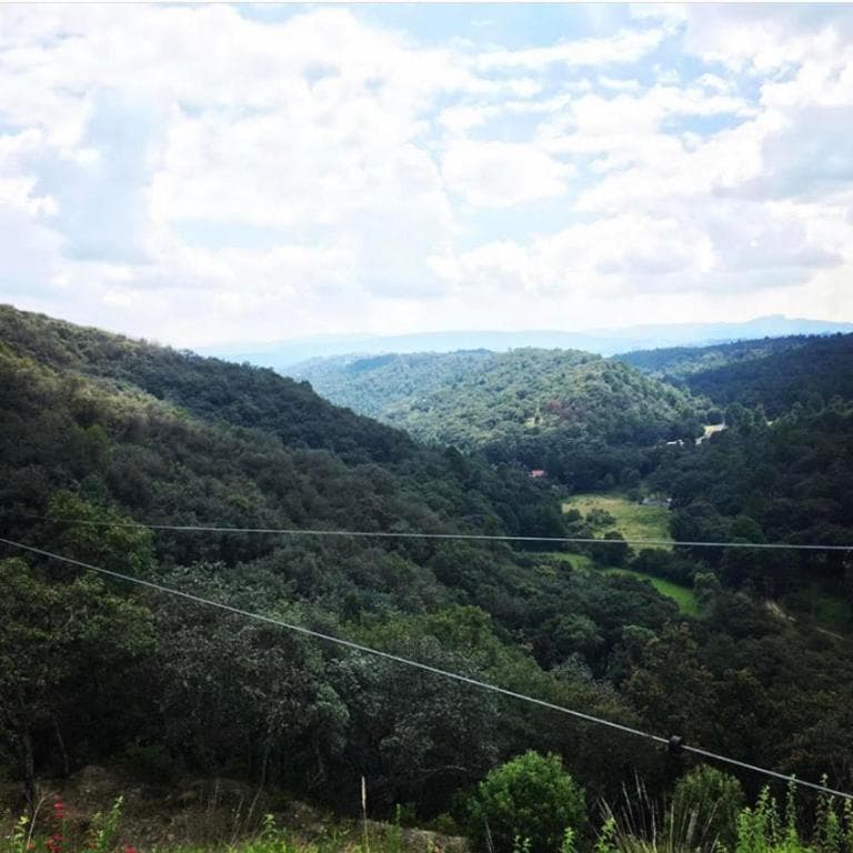 Vista del Bosque imagen 1