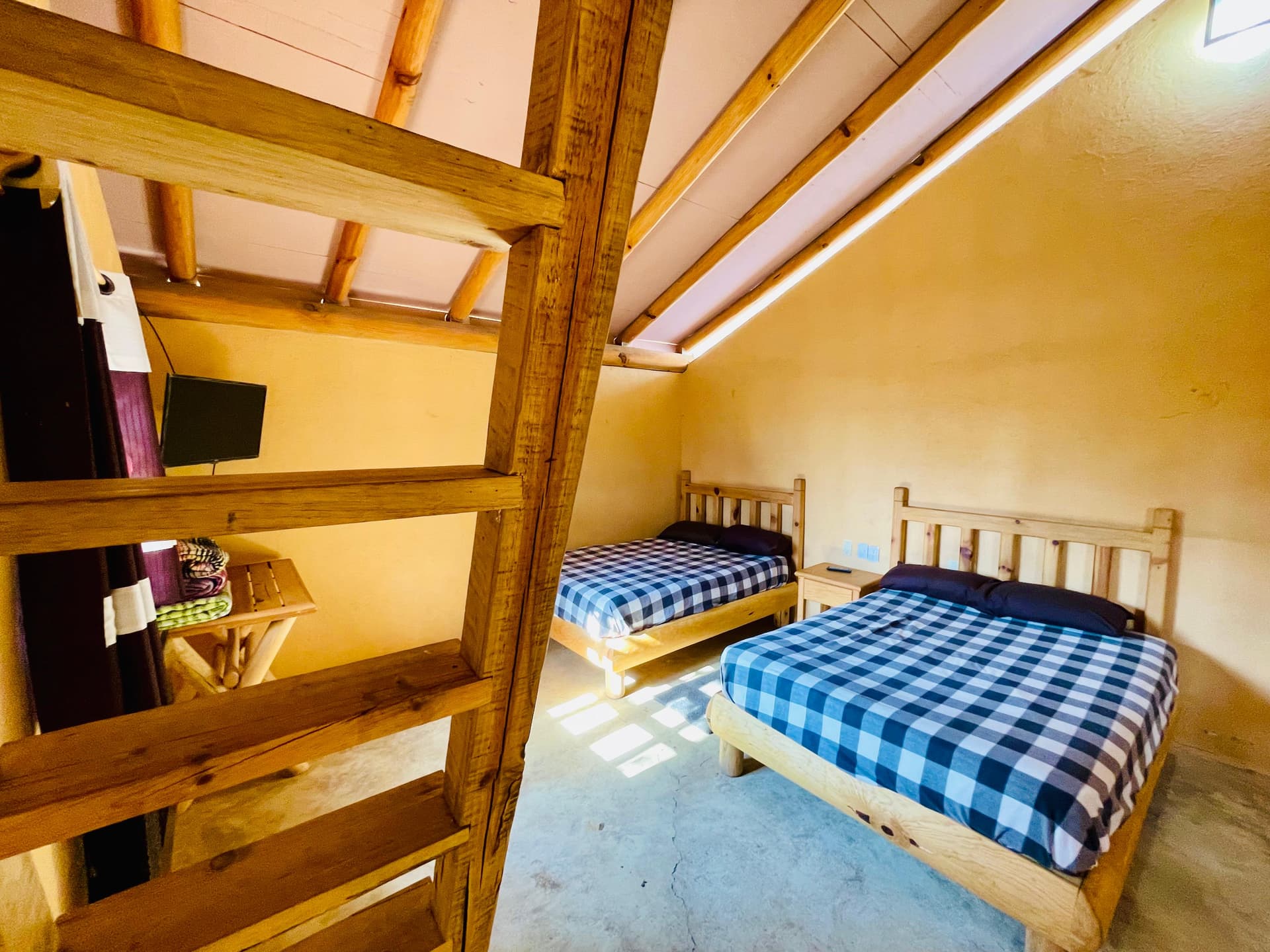 Suite Plus Terraza imagen 4